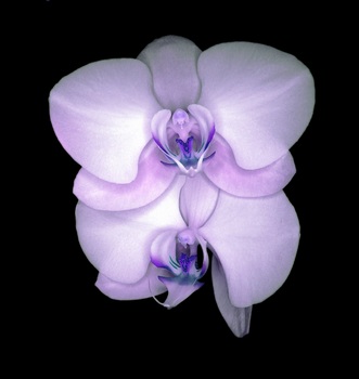 F 034E